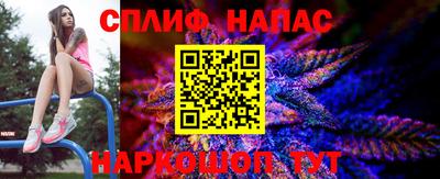 индика Бузулук