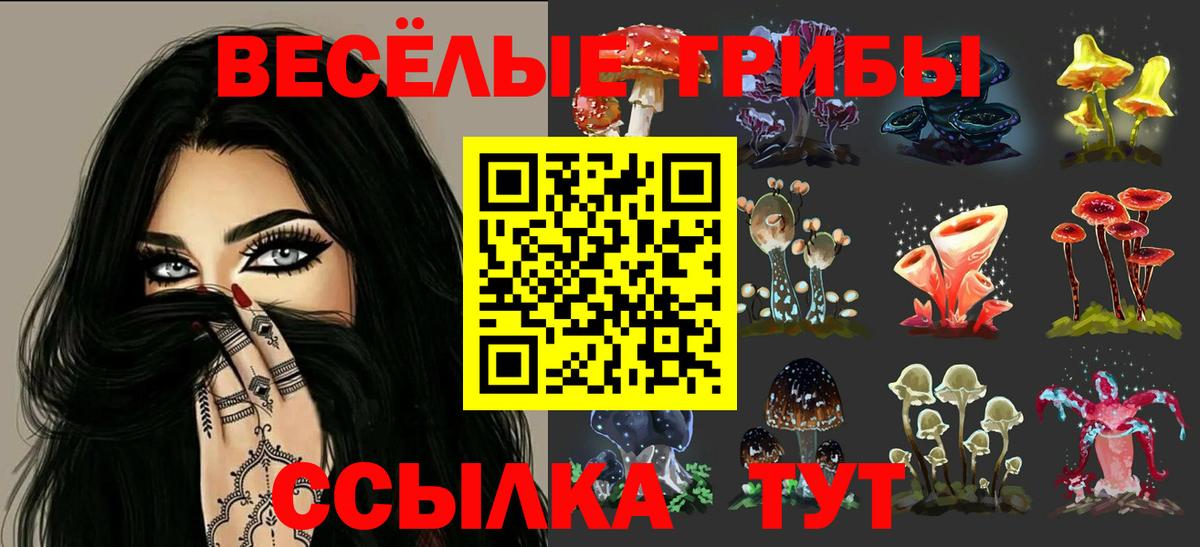 Сунжа  Псилоцибиновые грибы MAGIC MUSHROOMS  Вход с VPN  Псилоцибиновые грибы ЛСД 
